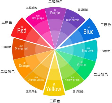 腦色分析|你的大腦是什麼顏色？－精選書摘｜商